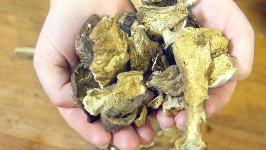 Siedem garnków. Najlepsze dania jednogarnkowe - przepisy