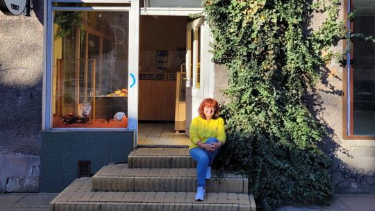 Siedem lat zimnozielonego bluszczu przy ul. Narutowicza