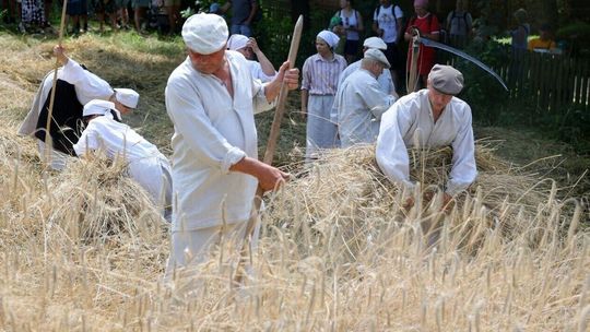 Sierpy w dłonie, czas na tradycyjne żniwa!