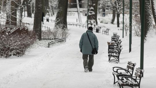 Silne mrozy ostatniej nocy. W kolejnych dniach ma być znacznie cieplej [prognoza pogody]