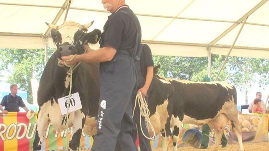 Sitno 2012: Wielka wystawa zwierząt i maszyn