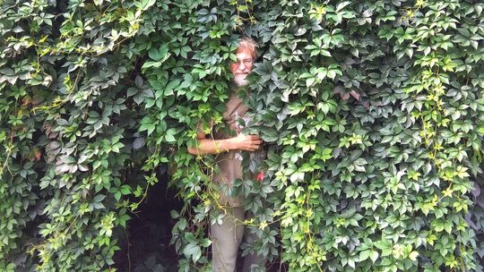 Skarby Kultury Przestrzeni: Pnącza w krajobrazie Lublina [GŁOSOWANIE]