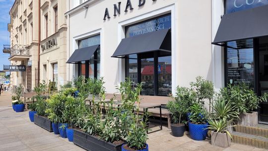 Skarby Kultury Przestrzeni: Zielono i słodko