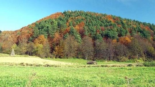 Skarby są. Ale jakie? Czy Czubata Góra skrywa ruiny legendarnego zamku?