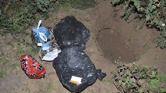 \"Skarby” zakopane w ziemi, czyli jak złodzieje ukryli łupy (wideo)