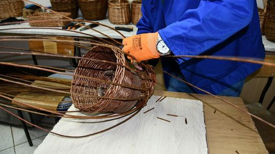 Skazani majstrowali domki, wili gniazda ptakom