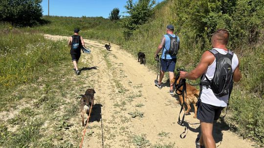 Skazani na spacerze. Wyprowadzają psy jako wolontariusze