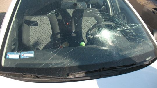 Skoda na pl. Zamkowym zdewastowana po koncercie na błoniach