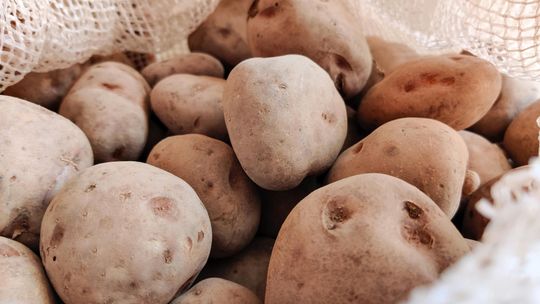 Skrzynia na ziemniaki to nie jest dobra kryjówka przed policjantami