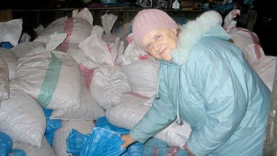 Skup kasztanów - płacą 50 groszy za kilogram. W Chełmie prawdziwa gorączka