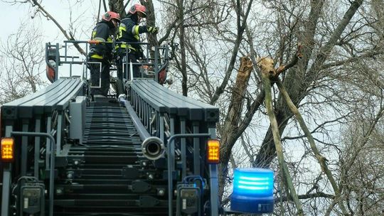 Skutki silnego wiatru w Polsce i regionie. Zerwane dachy i powalone drzewa. Zabici i ranni