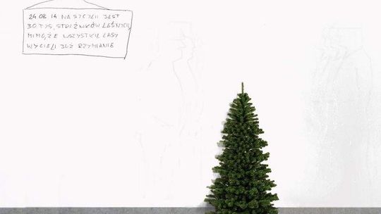 Sławomir Marzec w Galerii Labirynt