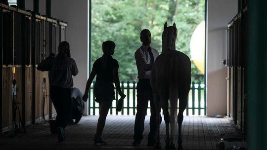 Śledztwo w sprawie stadniny w Janowie Podlaskim trwa pięć lat. Przedłużone o kolejne trzy miesiące