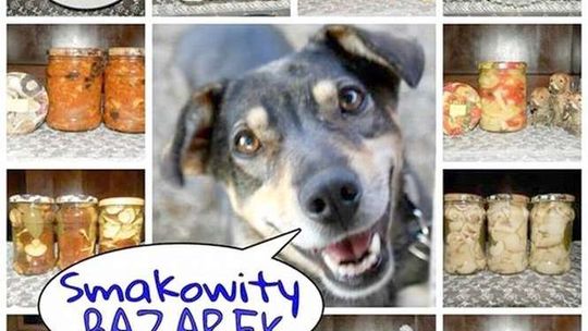 Słoiki pomagają czworonogom