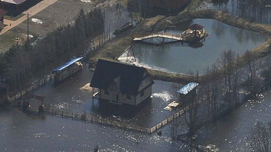 Służby: Nad Bugiem nie grozi epidemia