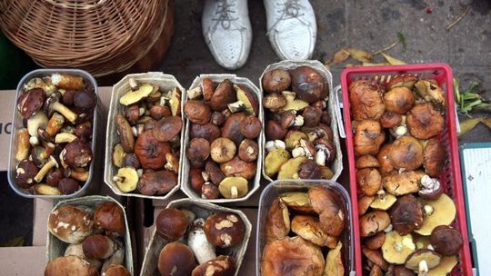 Smak jesiennych grzybów. Przepisy na podgrzybki, maślaki, kurki, rydze