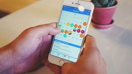 Smartfon wsparciem dla rolników. Firma szuka pieniędzy na realizację pomysłu