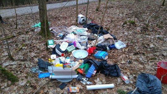 Śmieci po imprezie wyrzucone do lasu. EKO Challenge znalazł właścicielkę na FB i posprzątała