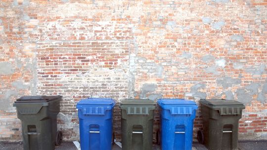 Śmieci w Lublinie. Gdzie co wyrzucać, kto to odbierze. Poradnik