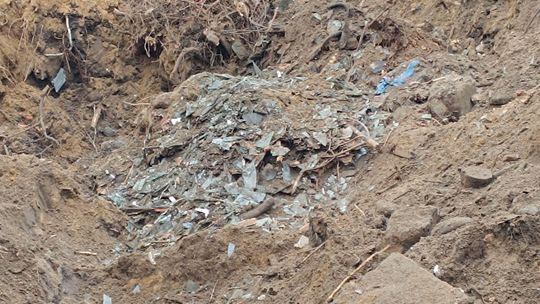 Śmieci zamiast do utylizacji, zakopać. Pracownicy zakładu nie wytrzymali 