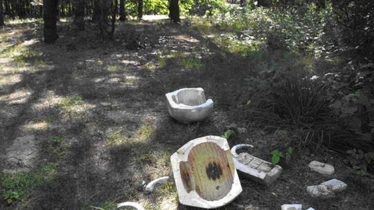 Śmieciarz z Lubartowa odnaleziony. Pomogła nagroda