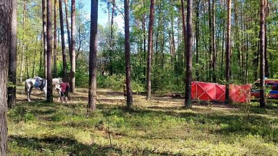 Śmierć nastolatki na konnej przejażdżce. Jest śledztwo
