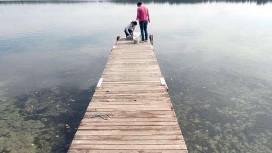 Śmierdzący problem nad jeziorem Piaseczno. WIOŚ sprawdza gdzie trafiały ścieki