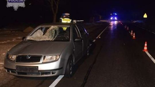 Śmiertelne potrącenie w Kocudzy. Pieszy nie miał odblasków