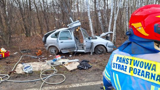 Śmiertelny wypadek koło Zamościa. Autem jechały trzy osoby