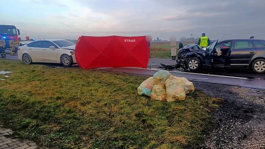 Śmiertelny wypadek na dk 74. Dwa auta rozbite, pieszy nie przeżył Śmiertelny wypadek w powiecie zamojskim