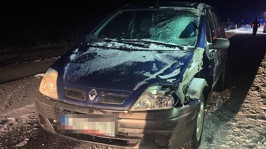 Śmiertelny wypadek na drodze wojewódzkiej. 52-latek zginął na miejscu