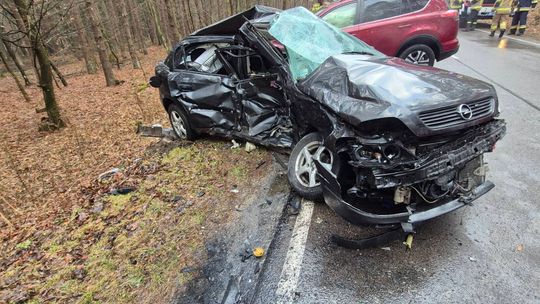 Śmiertelny wypadek na Roztoczu. Zginęła 27-latka