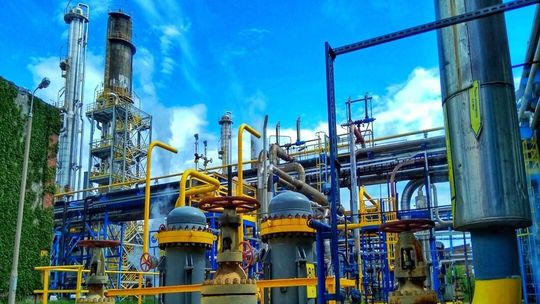 Śmiertelny wypadek na terenie Zakładów Azotowych w Puławach