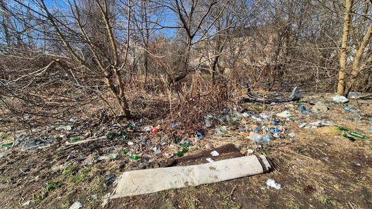 Śmietnisko nad Czerniejówką. Miasto wie, ale nie może nic zrobić