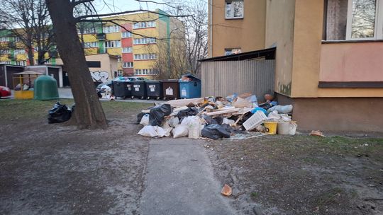 Śmietnisko przy Odlewniczej 9. Administracja: „Robimy, co do nas należy”