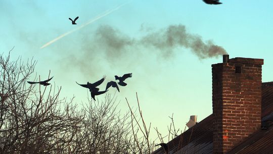 Smog spowoduje 40 tys. przedwczesnych zgonów w Polsce