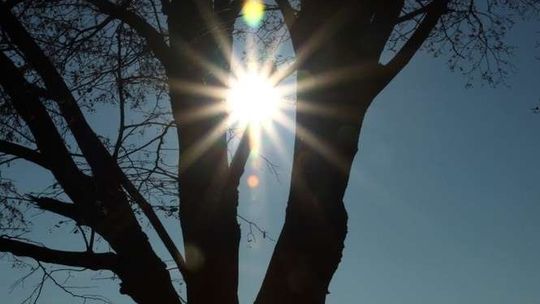 Smog w Białej Podlaskiej. Działacze z czujnikiem