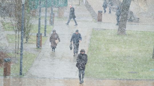 Śnieg spadł w Lublinie. Prognoza pogody na kolejne dni [zdjęcia]