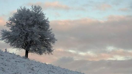 Śnieg w Bieszczadach. Zobacz zdjęcia pięknych gór