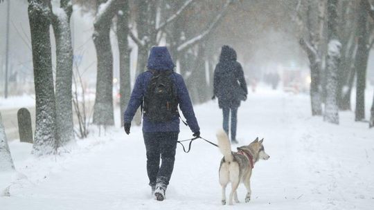 Śnieżyca w Lublinie. W poniedziałek też będzie padać śnieg [ZDJĘCIA]