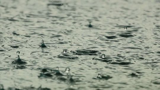 Sobota z deszczem prawie w całym kraju. Na Lubelszczyźnie temperatura sięgnie 12 st. C