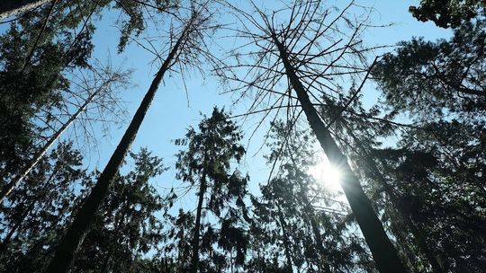 Sobota z przejaśnieniami. Jaka pogoda w kolejnych dniach?