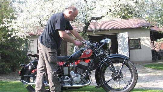 Sokół wart 20 krów