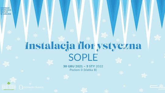 Sople - instalacja florystyczna w Centrum Spotkania Kultur