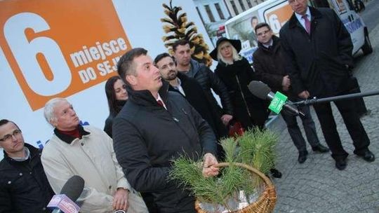 Sosna od Sosnowskiego. Kandydat PO rozdaje drzewa