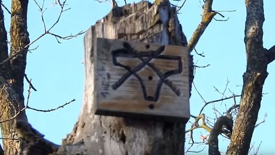 Spacer po suchym dnie Zalewu Zemborzyckiego. Wideo Czytelnika