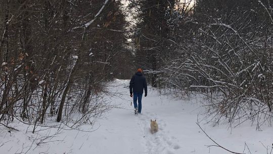Spacer z psem po Roztoczu najwcześniej w 2038 roku. Teraz wstęp wzbroniony