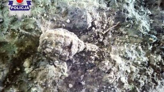 Spacerował z psem. Nie spodziewał się takiej przygody