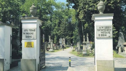 Spacery wśród cieni. Cmentarz przy ul. Lipowej bez tajemnic
