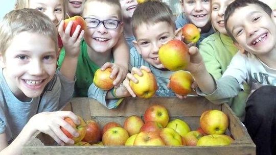 Spada sprzedaż jabłek, eksport stoi. Nie chcą ich nawet za darmo